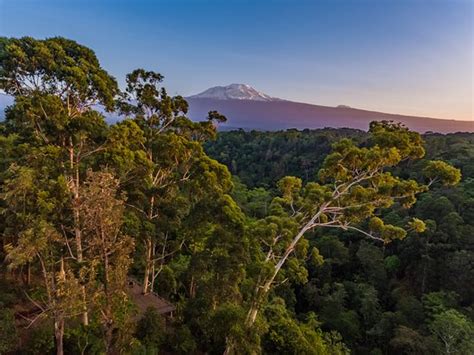 Kaliwa Lodge Reviews, Deals & Photos 2024 .